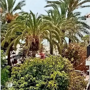 Old Town Estepona